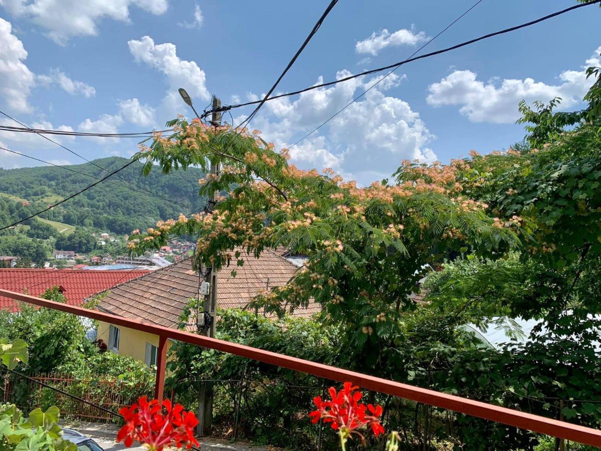Casa Olanesti Hotell Băile Olăneşti Eksteriør bilde
